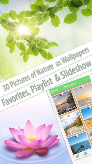 Nature Music (helps to relax, meditate, sleep, yoga and SPA)(圖3)-速報App