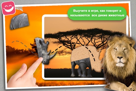 Wildlife Animals Photo Jigsaw Puzzle screenshot 2