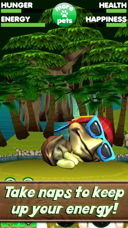 Virtual Pet Turtle