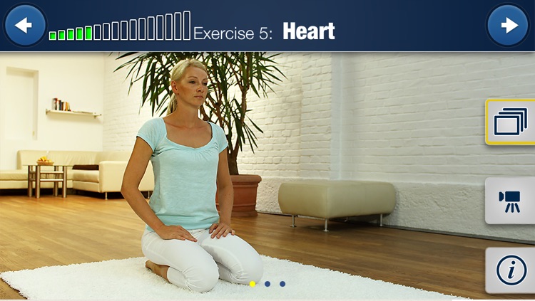 Meridian Yoga HD 15 Min. Training