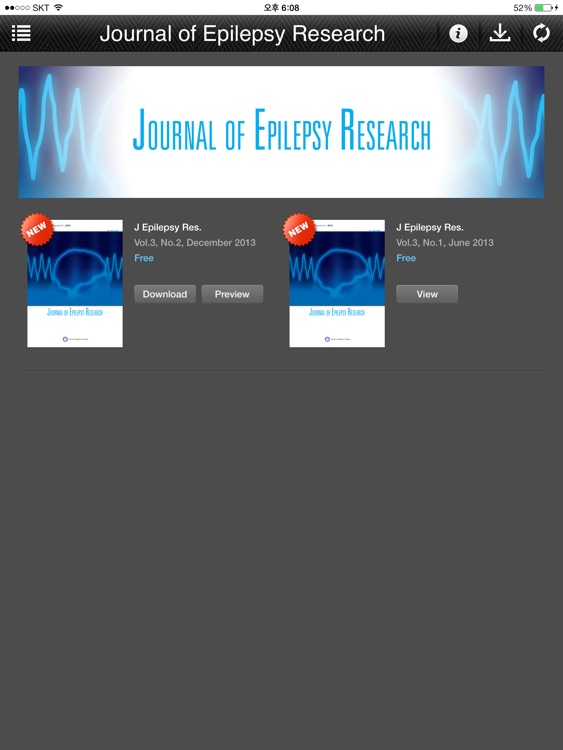 Journal of Epilepsy Research