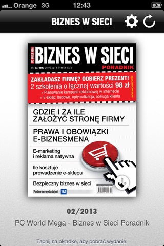 Biznes w sieci screenshot 2