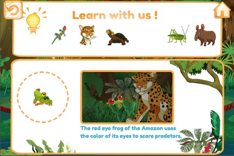 Amazon Rainforest Discovery Lite screenshot 4