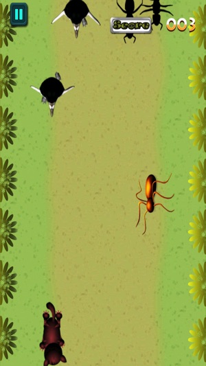 Smash the Bugs and Ants!(圖3)-速報App