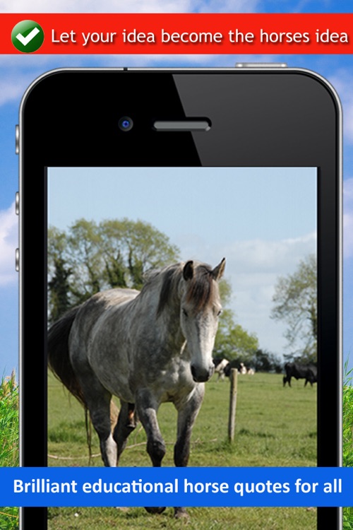 Horse Back Riding Sayings - Equestrian Horsemanship App