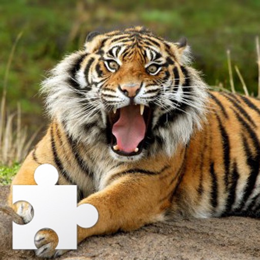 Wild Animal Puzzle 1.0 Icon