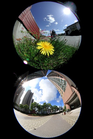 FishEyeLens+(圖4)-速報App