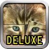 Cute kittens and puppies puzzles - Deluxe