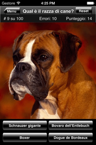 Dog Breed Quiz screenshot 4