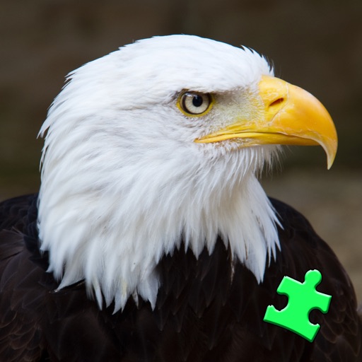 Birds of Prey Puzzles HD icon