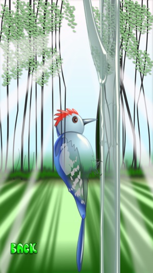 Woodpecker Mania(圖4)-速報App