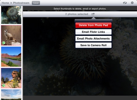 Photo Pad: Flickr - Sync Photos screenshot 3