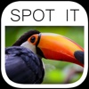 Spot the Difference Image Hunt Puzzle Game - Paradise Edition