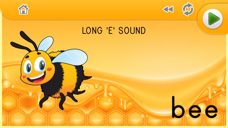 Phonics Fun:  Long and Short Vowel Sounds