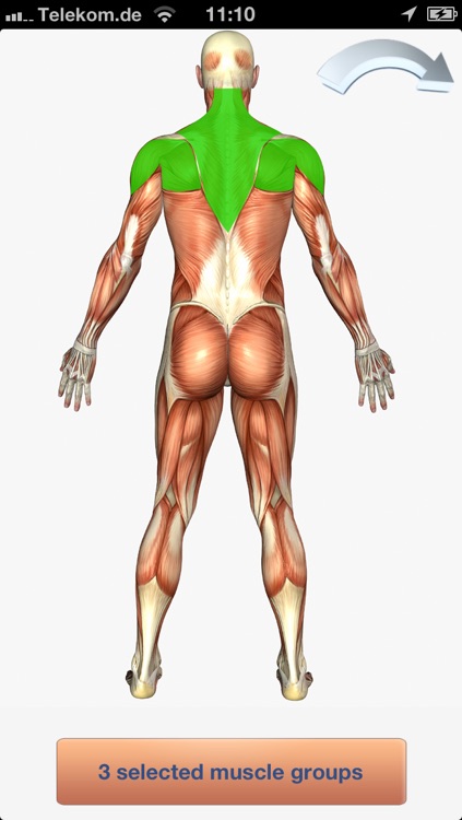 100+ Fitness Exercises Free