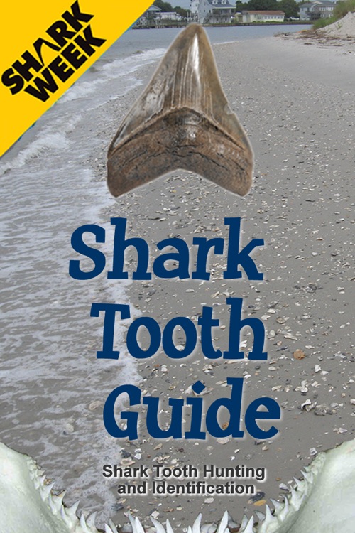 Shark Tooth Guide
