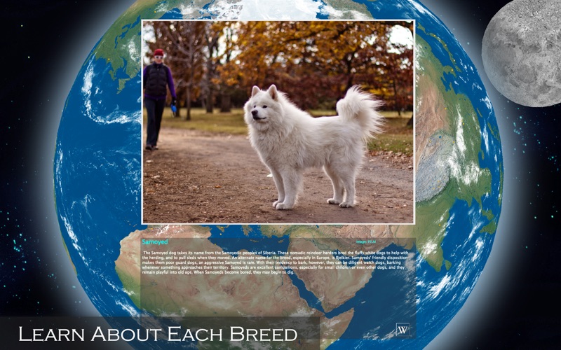 Amazing Earth 3D: Dogs thumbnail 3