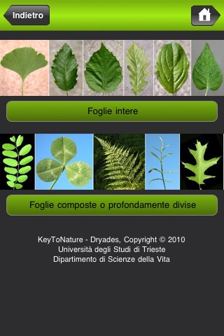 Cento piante da scoprire nell'Orto Botanico di Catania screenshot 4