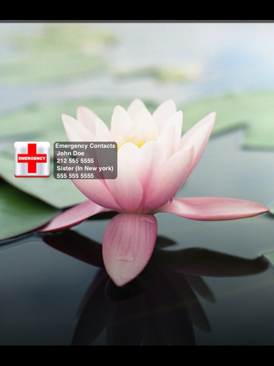 ICE for iPad (In Case of Emergency Info) screenshot-3
