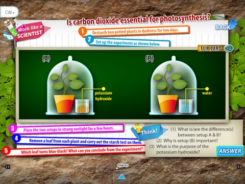 Nutrition in Plants (School) screenshot 4