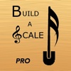 Build A Scale Pro