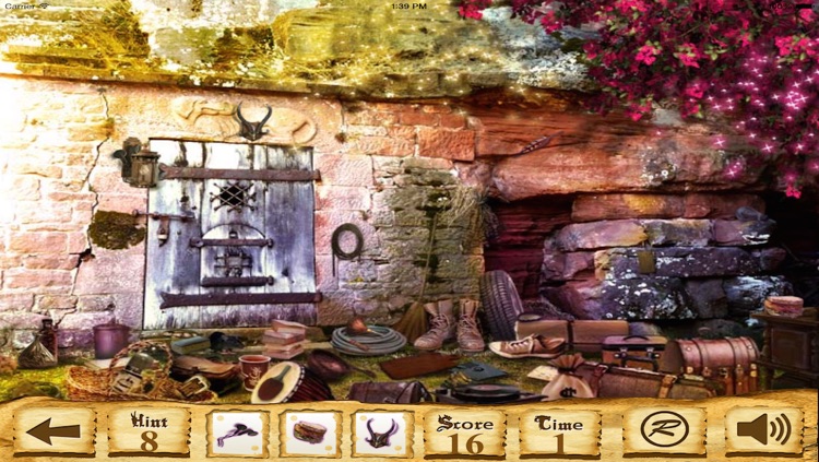 Hidden Objects?? screenshot-4