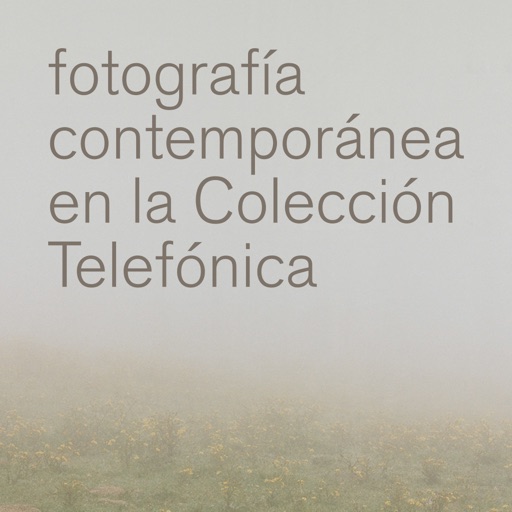 Fotografía CT icon