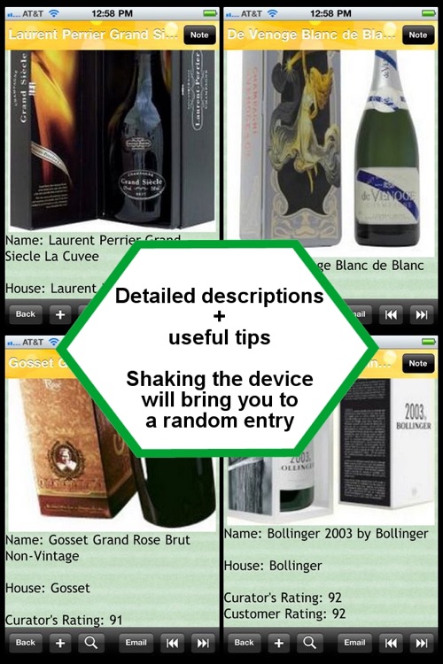 The Champagne Bible