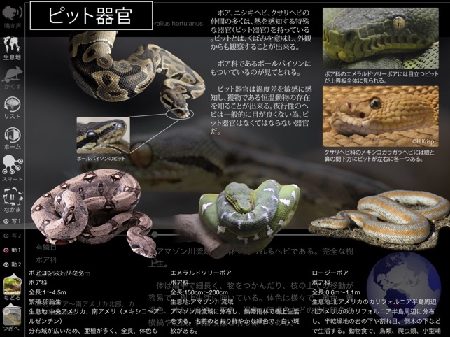 Reptile Life for Japan FREE(圖3)-速報App