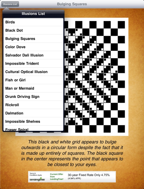 Optical Illusions! iPad Edition screenshot-4