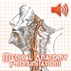 Anatomy Pronunciations