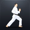karate do 2.0