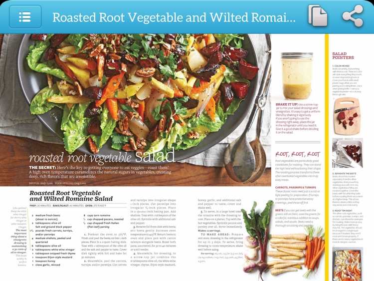 Healing Cuisine Recipes for iPad