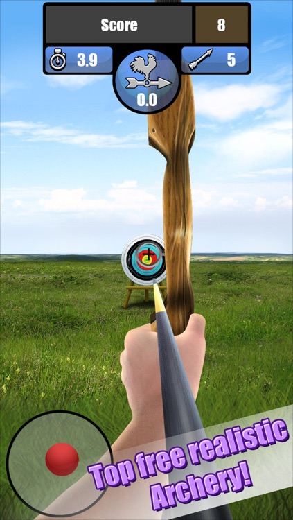 Archery Tournament