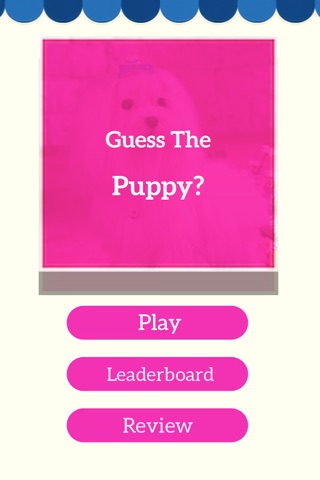 Guess Puppy: Reveal Your Favourite Puppies Breed screenshot 4