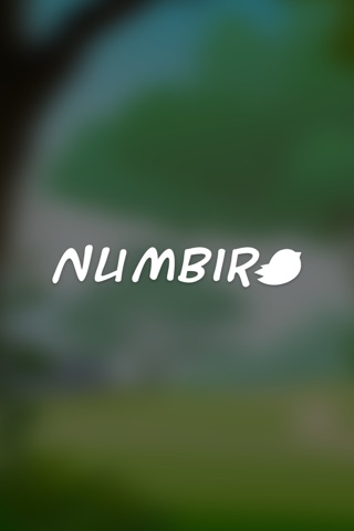 Numbird screenshot 4