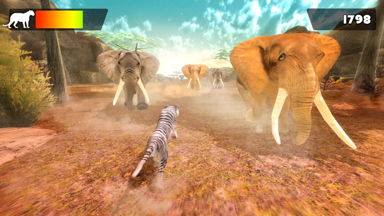 Tiger World | Tigers Simulator Racing Game For Kids by Free Wild ...