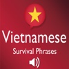 Easy to learn Vietnamese