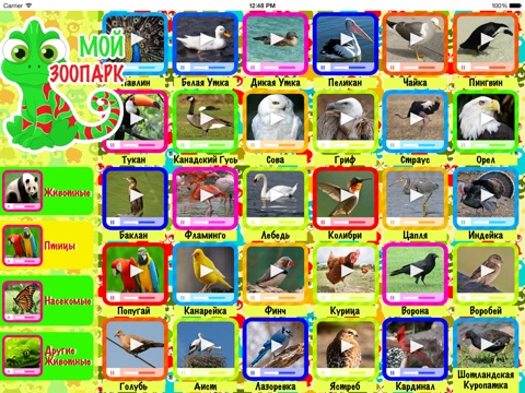 Мой Зоопарк - Видео, фотографии животных и их названия для детей screenshot 4