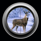 Sniper Deer Hunting: Tiro da selva selvagem Besta 3D Jogo Grátis icon