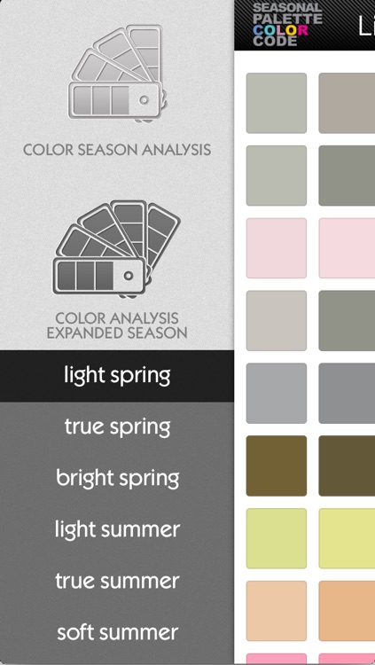 Resultado de imagem para Seasonal Palette Color Code