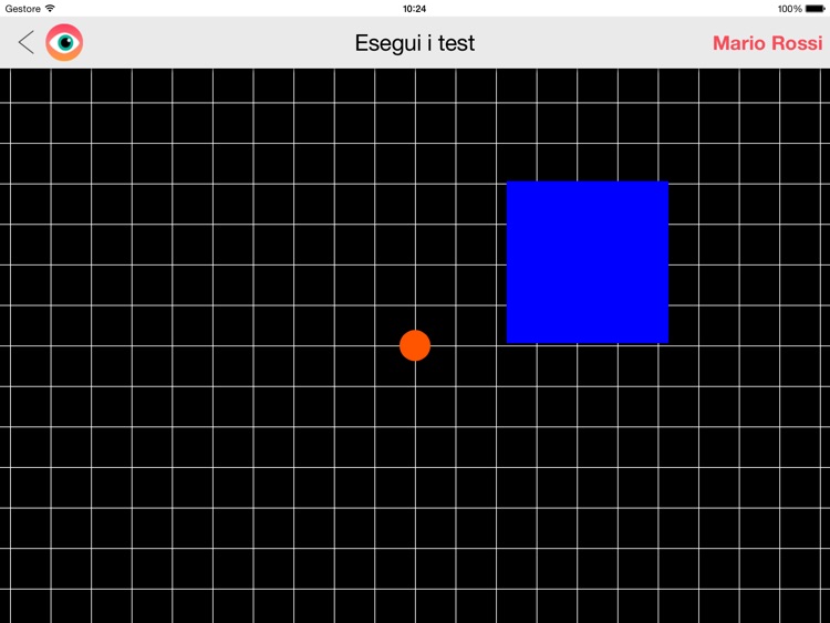 MACULA VISION TEST screenshot-4