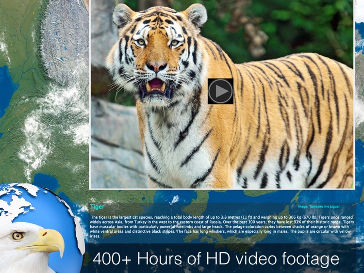 World Explorer - Animal Kingdom