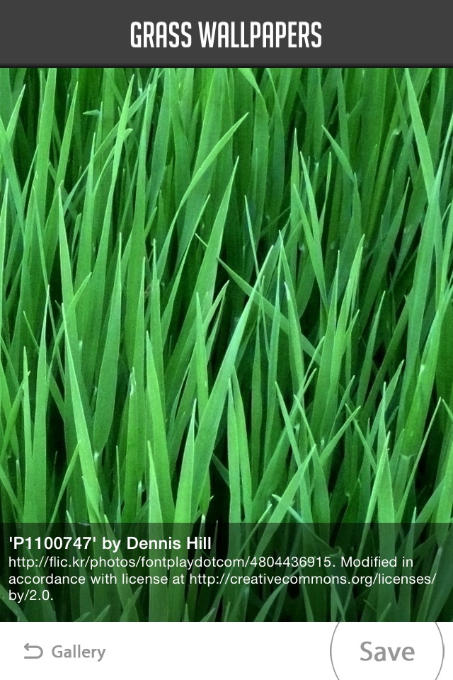 Grass Wallpapers screenshot 3