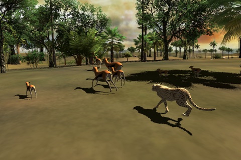 Tiger Jungle screenshot 3