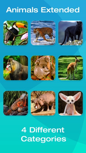 Safari and Jungle Animal Picture Flashcards for Babies, Todd(圖4)-速報App