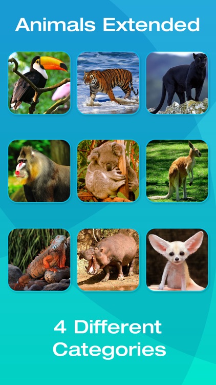 Safari and Jungle Animal Picture Flashcards for Babies, Toddlers or Preschool (Free) screenshot-3