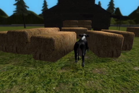 Crazy Cow Simulator FREE screenshot 4