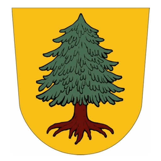 Viechtach icon