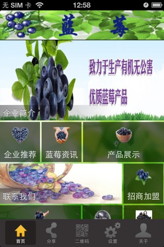 蓝莓-蓝莓农场推荐、蓝莓产品推送等的平台 screenshot 2